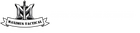 Maximus Tactical logo with a sword in front of the letter M and text